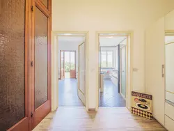 Ferienhaus Elena in Castelfranco di Sotto - 4 Personen, Hund erlaubt