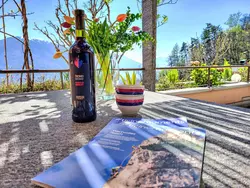 Bild zur gratis inserierten Ferienwohnung Terrazzo Prato Pernice Apt.12.