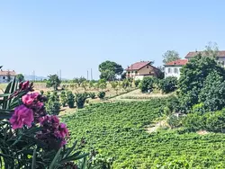 Bild zur gratis inserierten Ferienwohnung Guest House Viotti.