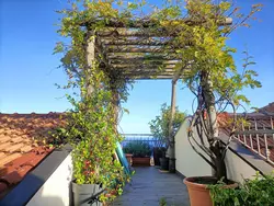 Ferienhaus Terrazza con glicine in Alassio - 8 Personen, Hund nicht erlaubt