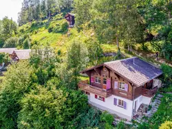 Ferienwohnung Ember in Fiesch - 7 Personen, Hund erlaubt