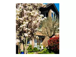 Ferienwohnung Top-Ferienwohnung Raesfeld, Schlossnähe, 92 m² für Paare/Familie in Raesfeld - 4 Personen, Hund nicht erlaubt