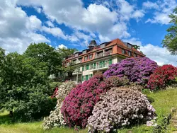 Bild zur gratis inserierten Ferienwohnung Fewo Natur und Kunst.