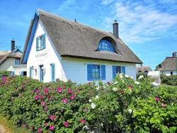 Bild zur gratis inserierten Ferienwohnung Kliff Königshörn.