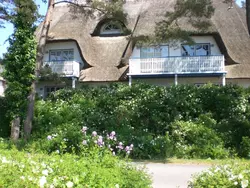 Ferienwohnung Appartement Achtern-Diek-am-Strand in Zingst in Zingst - 2 Personen, Hund erlaubt