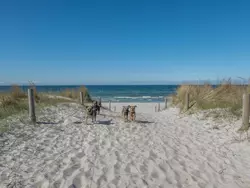 Bild zur gratis inserierten Ferienwohnung Ostsee.
