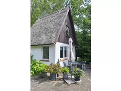Bild zur gratis inserierten Ferienwohnung Reetgedecktes Haus.