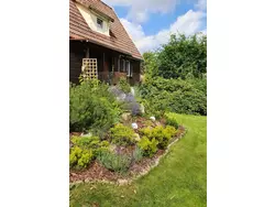 Ferienhaus Drabik in Braunlage - 3 Personen, Hund erlaubt