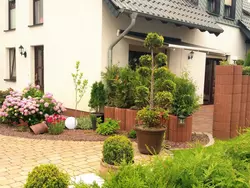 Bild zur gratis inserierten Ferienwohnung Lilly.