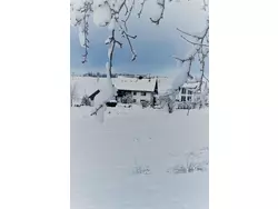 Ferienwohnung Appartement mit Garten in Schwärzenbach in Schwärzenbach - 4 Personen, Hund erlaubt