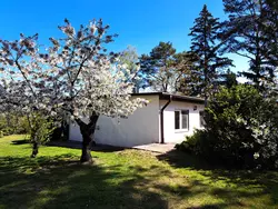 Bild zur gratis inserierten Ferienwohnung mit Terrasse mitten im Grünen.