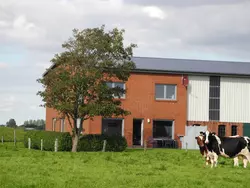 Bild zur gratis inserierten Ferienwohnung Geräumiges Ferienhaus mit Garten und Weitblick.