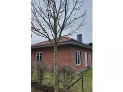 Bild zur gratis inserierten Ferienwohnung Sonnenschein.