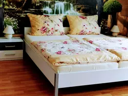 Bild zur gratis inserierten Ferienwohnung Am Birkenwäldchen.