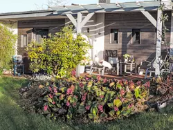 Ferienhaus Mit Liebe ausgestattetes Haus im Naturpark in Asel - 3 Personen, Hund erlaubt