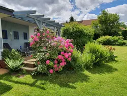 Bild zur gratis inserierten Ferienwohnung Mit Liebe ausgestattetes Haus im Naturpark.