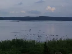 Bild zur gratis inserierten Ferienwohnung Haus Seeperle.