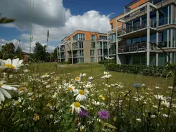 Bild zur gratis inserierten Ferienwohnung in Alt Travemünde.