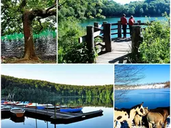 Bild zur gratis inserierten Ferienwohnung Landhaus Erika.