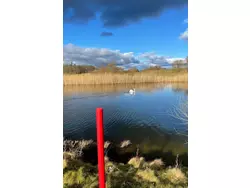 Bild zur gratis inserierten Ferienwohnung Sommerhaus JoLuFeLu.