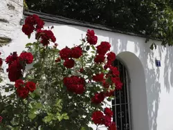 Bild zur gratis inserierten Ferienwohnung Weyerhof2.