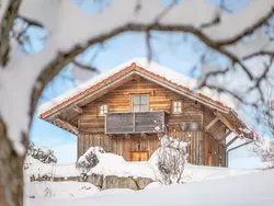 Bild zur gratis inserierten Ferienwohnung Hoizhaus am Badlberg.