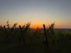 Bild zur gratis inserierten Ferienwohnung Panorama 180°.