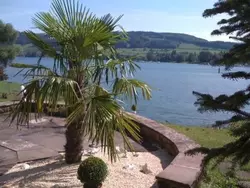 Bild zur gratis inserierten Ferienwohnung Haus am See mit direktem Seeanstoss.