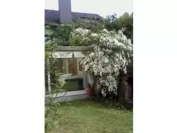 Bild zur gratis inserierten Ferienwohnung Urlaub am Feigenbaum in Nußloch.