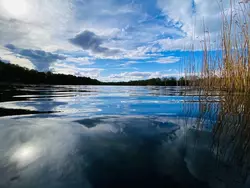 Ferienhaus Bungalow Waldidyll in Böhmerheide - 5 Personen, Hund nicht erlaubt