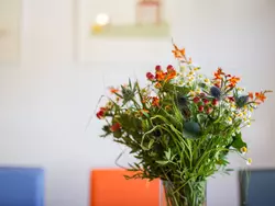 Bild zur gratis inserierten Ferienwohnung Gemütliches Ferienhaus in Hasenfeld mit Großem Garten.