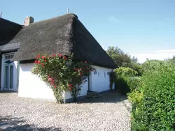 Ferienhaus Haus Strandläufer in Midlum - 3 Personen, Hund erlaubt