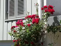 Ferienwohnung Jakobs in Vlotho - 4 Personen, Hund nicht erlaubt