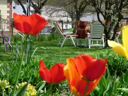 Bild zur gratis inserierten Ferienwohnung in Siesbach.