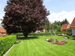 Bild zur gratis inserierten Ferienwohnung Beim Bracksee.