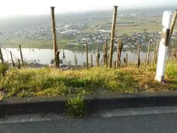 Ferienhaus Berkele in Neumagen - 12 Personen, Hund nicht erlaubt