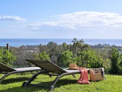 Ferienhaus Weingut Punta della Guardia Panorama von Macchia und Meer in Cervione - 4 Personen, Hund erlaubt