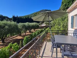 Bild zur gratis inserierten Ferienwohnung im Herzen der Weinberge, schattige Terrasse umgeben von Grün, Pool.