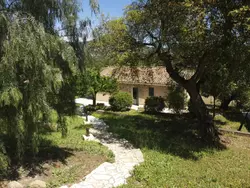 Bild zur gratis inserierten Ferienwohnung im Herzen der Weinberge, schattige Terrasse umgeben von Grün, Pool.