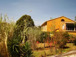 Ferienhaus Boutique-Unterkunft "Le mas de la Gavaresse" in einem authentischen provenzalis in Le Pradet - 17 Personen, Hund erlaubt