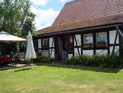 Ferienwohnung Gemütliches Appartement in Betschdorf in Betschdorf - 2 Personen, Hund erlaubt