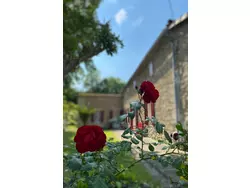 Bild zur gratis inserierten Ferienwohnung Pujols Petite.