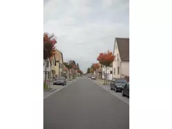 Bild zur gratis inserierten Ferienwohnung Wohnung am Rheinufer in Kunheim.