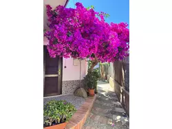 Bild zur gratis inserierten Ferienwohnung .