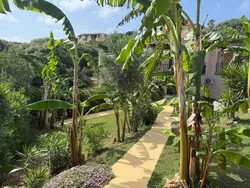 Bild zur gratis inserierten Ferienwohnung Villa in Banani.