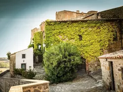 Ferienwohnung Arco Wohnung am Bogen in Celleno - 2 Personen, Hund erlaubt