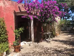 Bild zur gratis inserierten Ferienwohnung Wohnung mit Gartenblick.