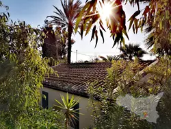 Bild zur gratis inserierten Ferienwohnung La Perla 22.