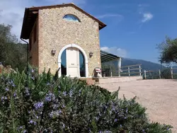 Bild zur gratis inserierten Ferienwohnung Rustico in schöner,ruhiger Lage mit Privatpool.