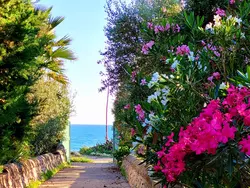 Bild zur gratis inserierten Ferienwohnung Kleines ruhiges Ferienhaus direkt am Meer.